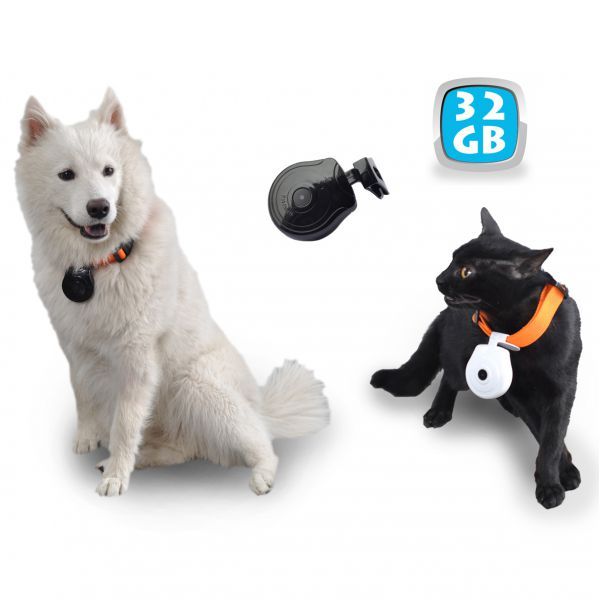 Collier cam&eacute;ra embarqu&eacute;e pour chat et chien