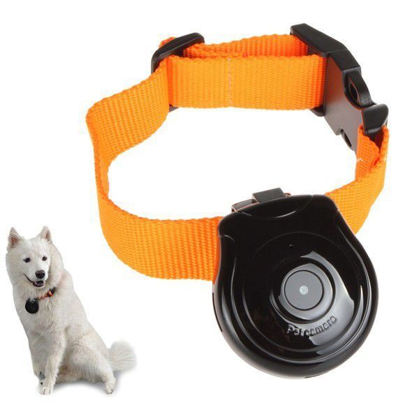 Cam&eacute;ra embarqu&eacute;e collier pour chien