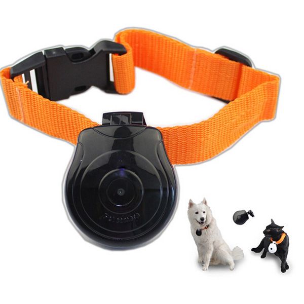 Caméra espion pour animaux de compagnie Caméra espion pour animaux de compagnie